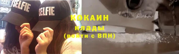 ешки Алексин
