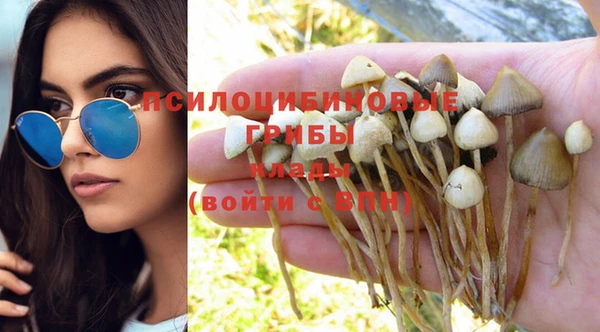 бошки Алзамай