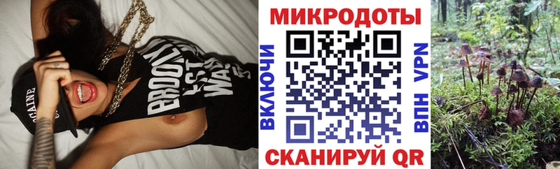 MEGA зеркало  как найти   Сухиничи  Псилоцибиновые грибы MAGIC MUSHROOMS 